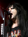 W.A.S.P. 