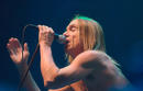 Iggy Pop 