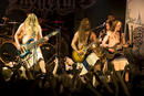 Ensiferum 