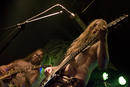 Ensiferum 