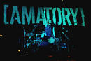 Amatory 