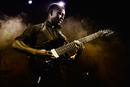 Animals as Leaders 