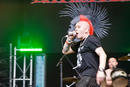 The Exploited 