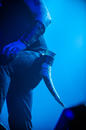 Amon Amarth 