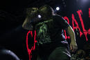 Cannibal Corpse 