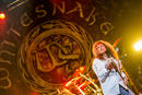 Whitesnake 