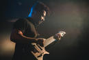 Animals as Leaders 