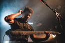 Animals as Leaders 