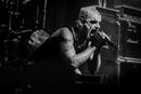 Taake 