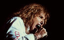 Whitesnake 