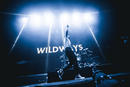 Wildways 